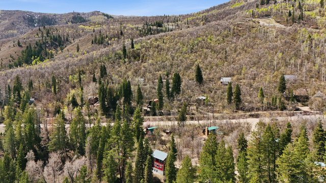 2450 Snake Creek Road Midway, UT 84049 - Photo 31 of 34 Drone / aerial view of mountains and a forest