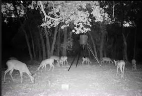 a view of outdoor space yard and patio