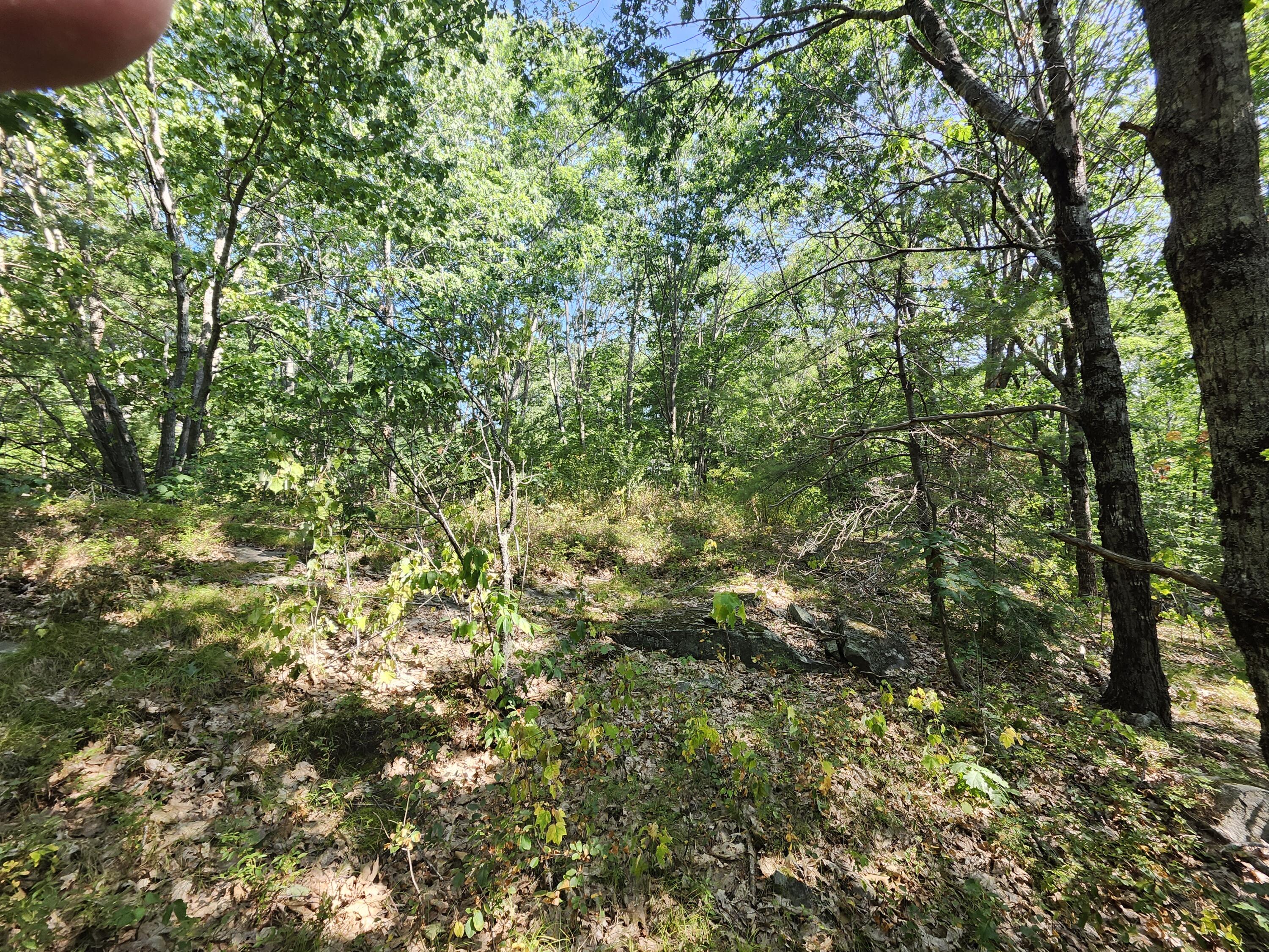 55 Wiscasset Road Whitefield, ME 04353 - Photo 3 of 3