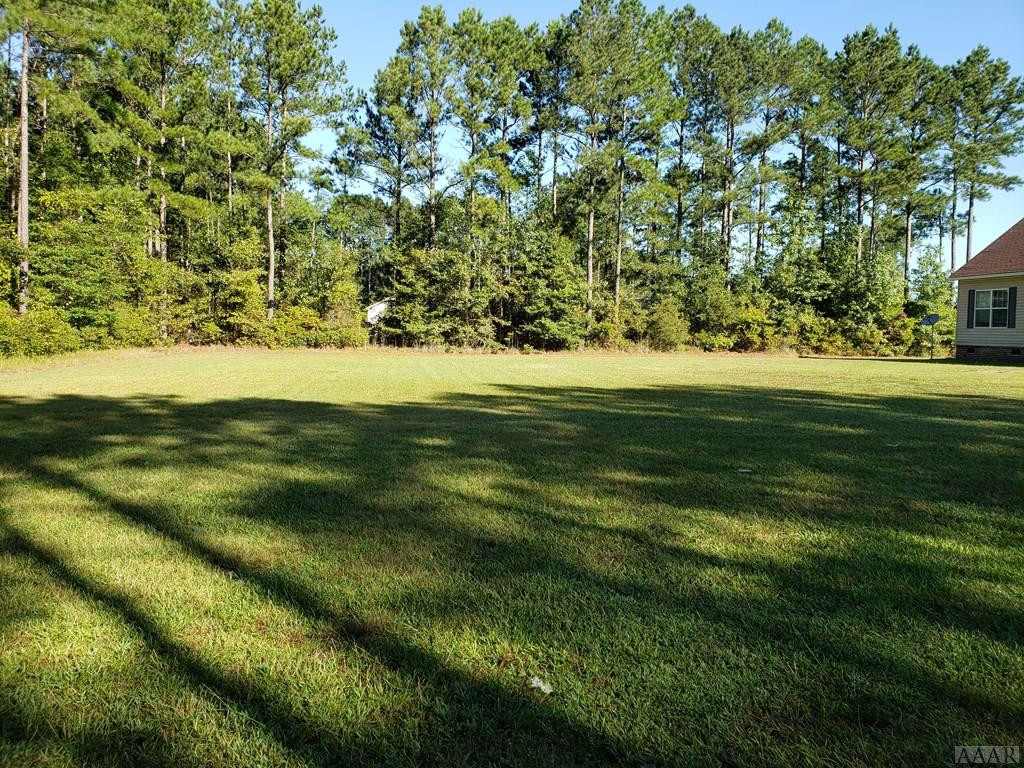 292 Paige Riddick Road Gates, NC 27937 - Photo 11 of 30