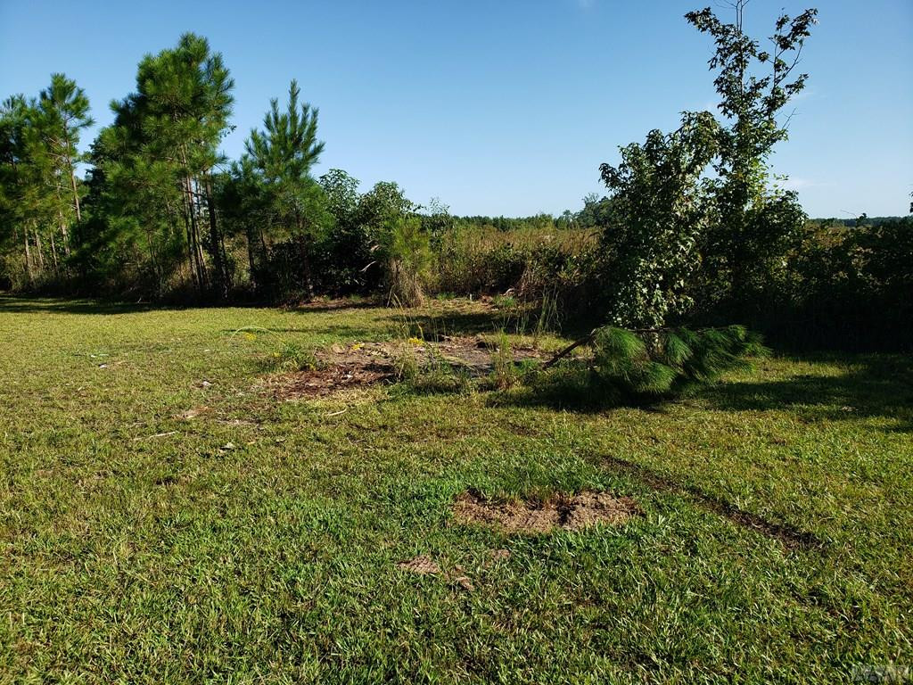 292 Paige Riddick Road Gates, NC 27937 - Photo 9 of 30
