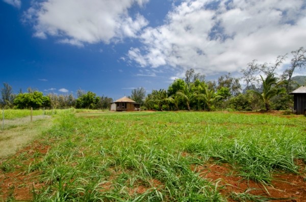 6020 Koolau Road, Unit 50 Anahola, HI 96703 - Photo 23 of 25 Gallery Image 23