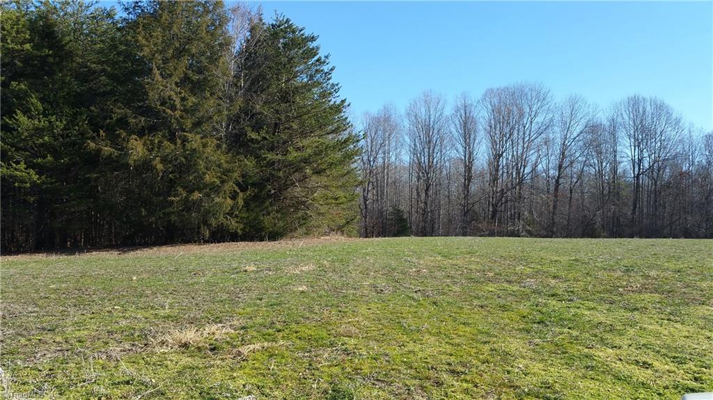 4318 McIntyre Road Gibsonville, NC 27249 - Photo 12 of 24 Gallery Image 12