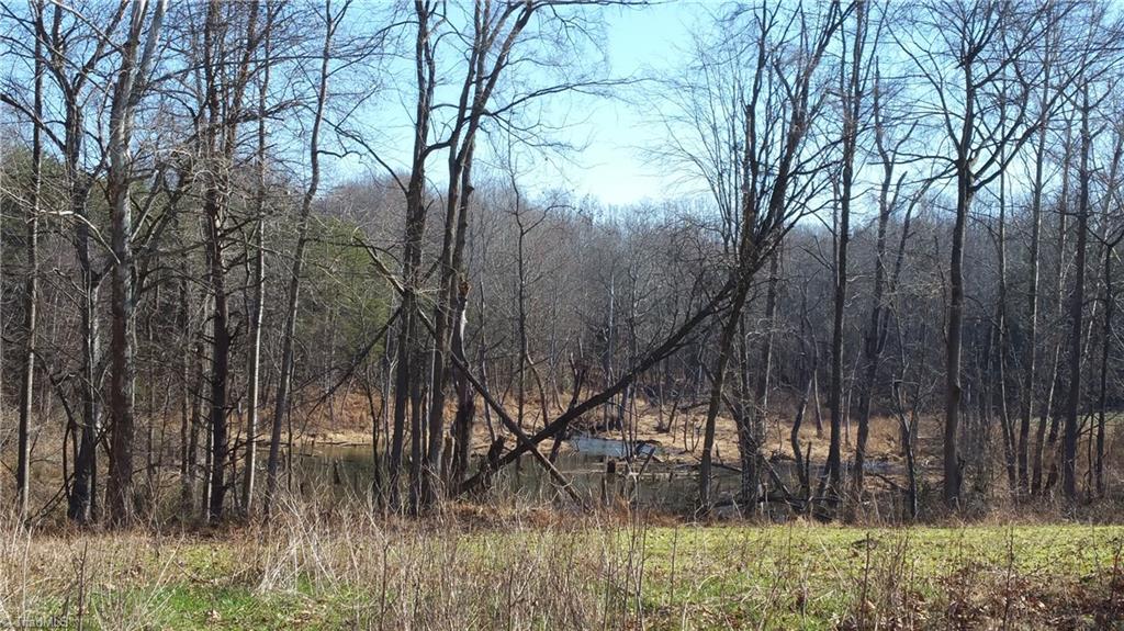 4318 McIntyre Road Gibsonville, NC 27249 - Photo 14 of 24 Gallery Image 14