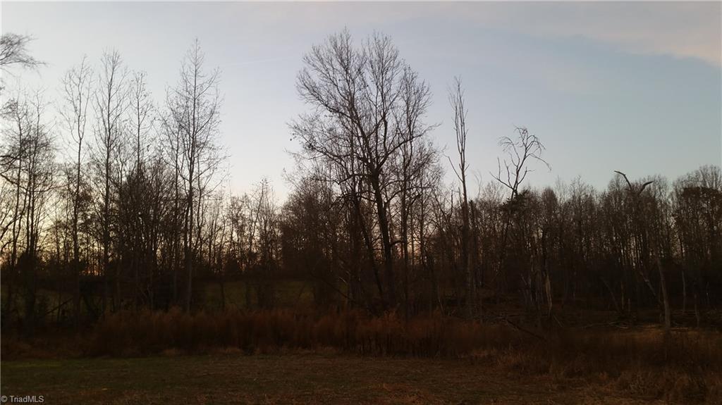 4318 McIntyre Road Gibsonville, NC 27249 - Photo 16 of 24 Gallery Image 16