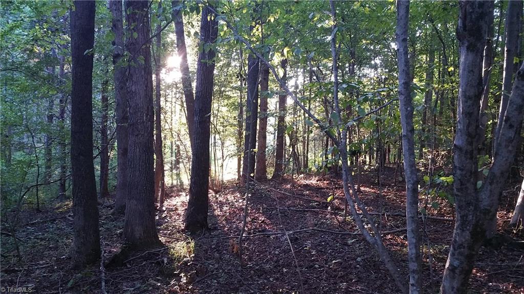 4318 McIntyre Road Gibsonville, NC 27249 - Photo 18 of 24 Gallery Image 18