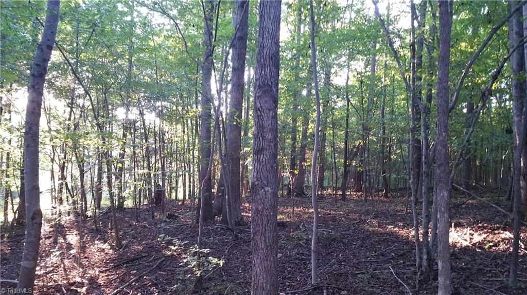 4318 McIntyre Road Gibsonville, NC 27249 - Photo 19 of 24 Gallery Image 19