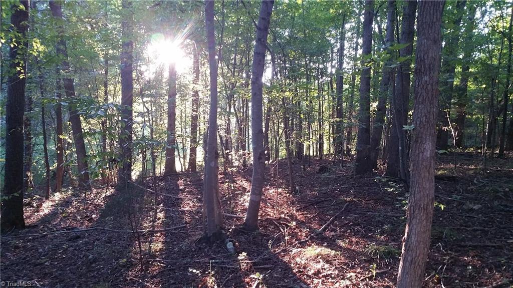 4318 McIntyre Road Gibsonville, NC 27249 - Photo 24 of 24 Gallery Image 24