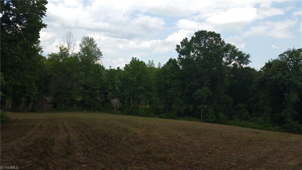 4318 McIntyre Road Gibsonville, NC 27249 - Photo 5 of 24 Gallery Image 5