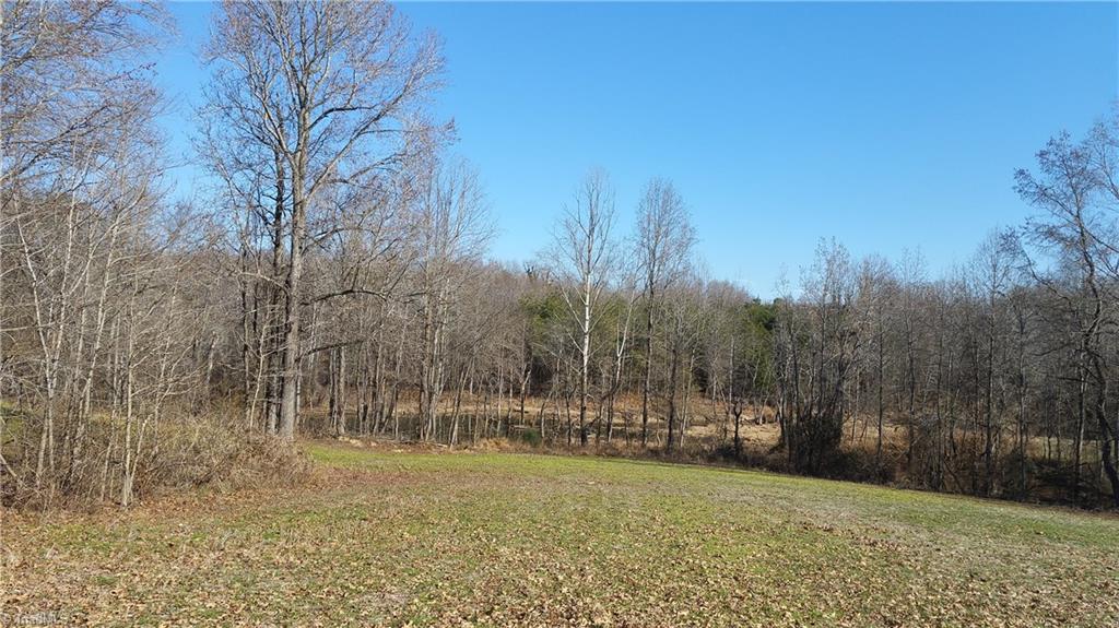 4318 McIntyre Road Gibsonville, NC 27249 - Photo 9 of 24 Gallery Image 9