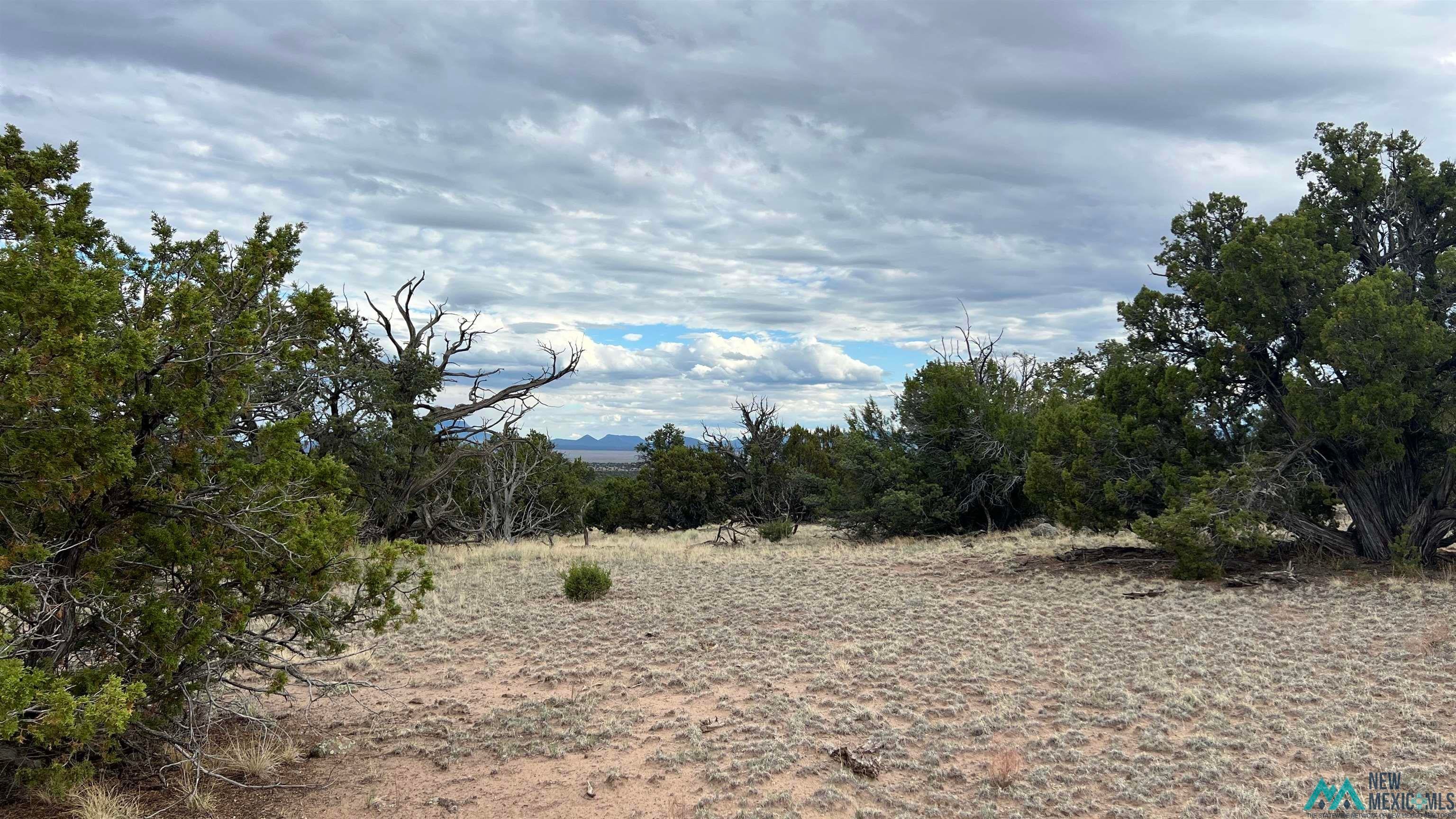 Squaw Road Quemado, NM 87829 - Photo 9 of 16 View of undeveloped land