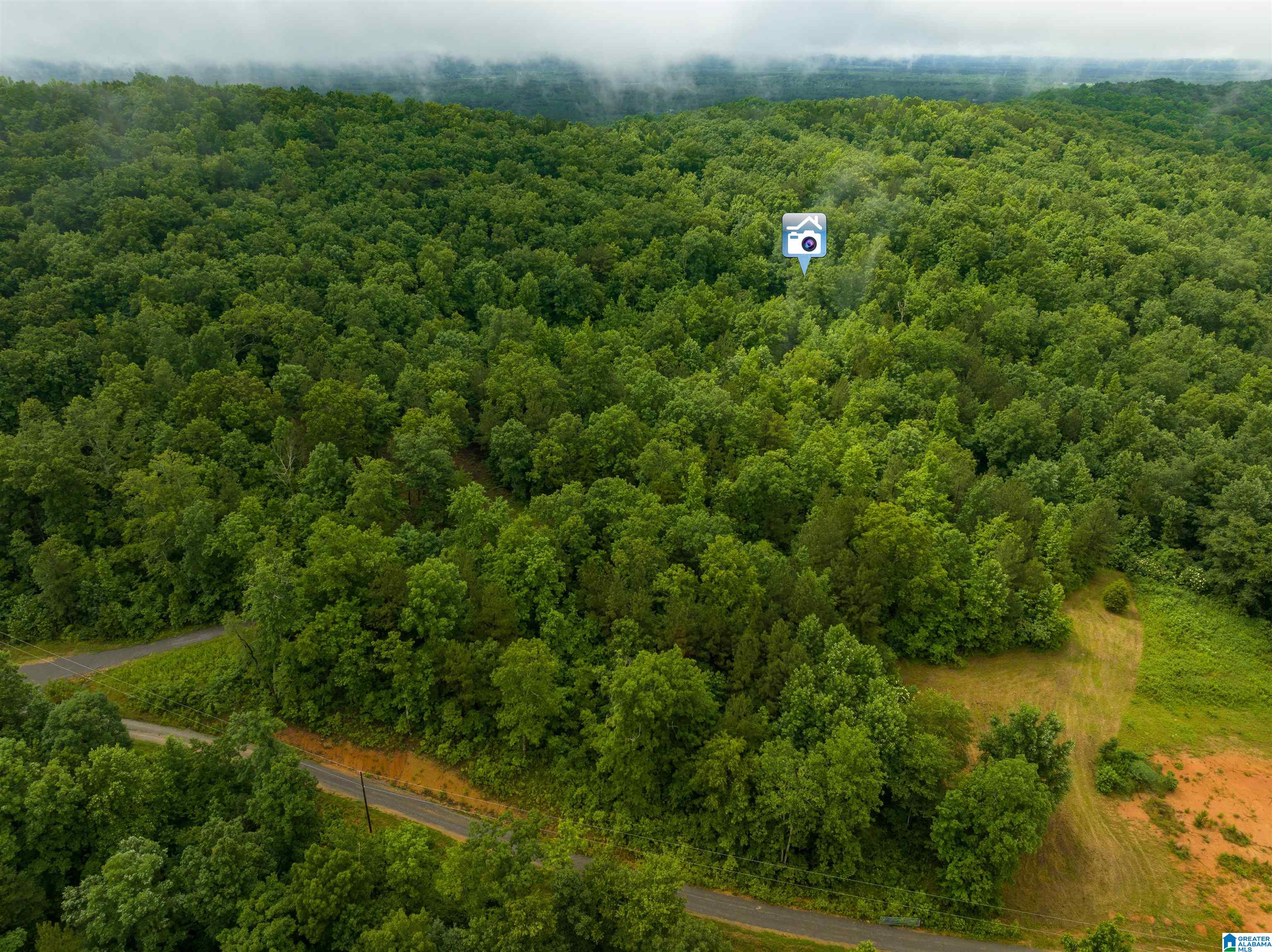 0 Crawford Cove Road Springville, AL 35146 - Photo 11 of 11