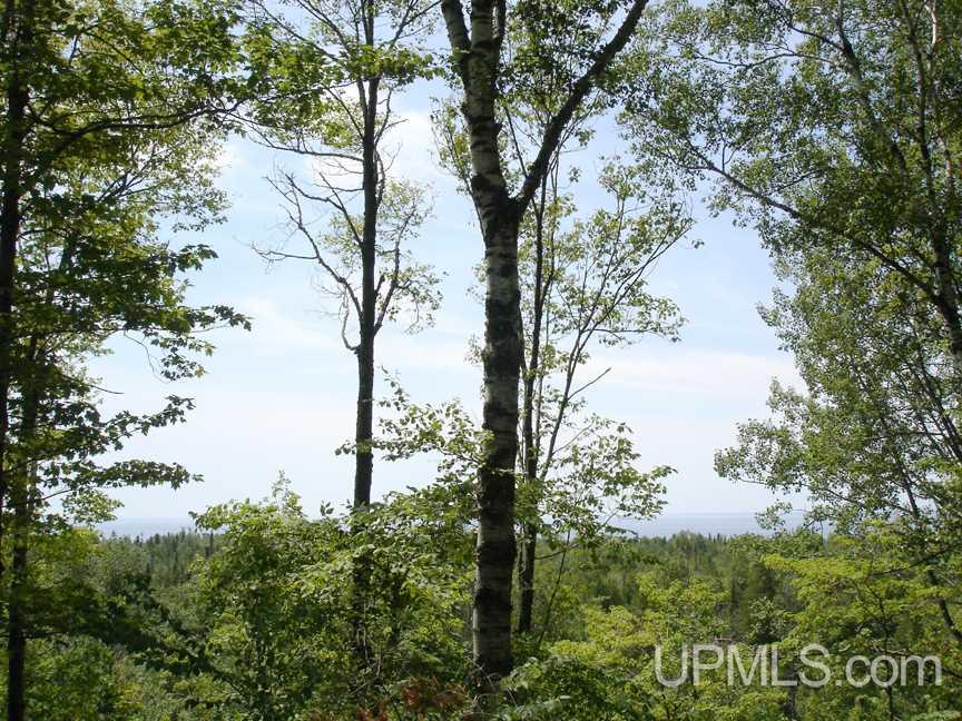 Tbd Northshore Bluffs Road, Unit 3 Manistique, MI 49854 - Photo 19 of 22