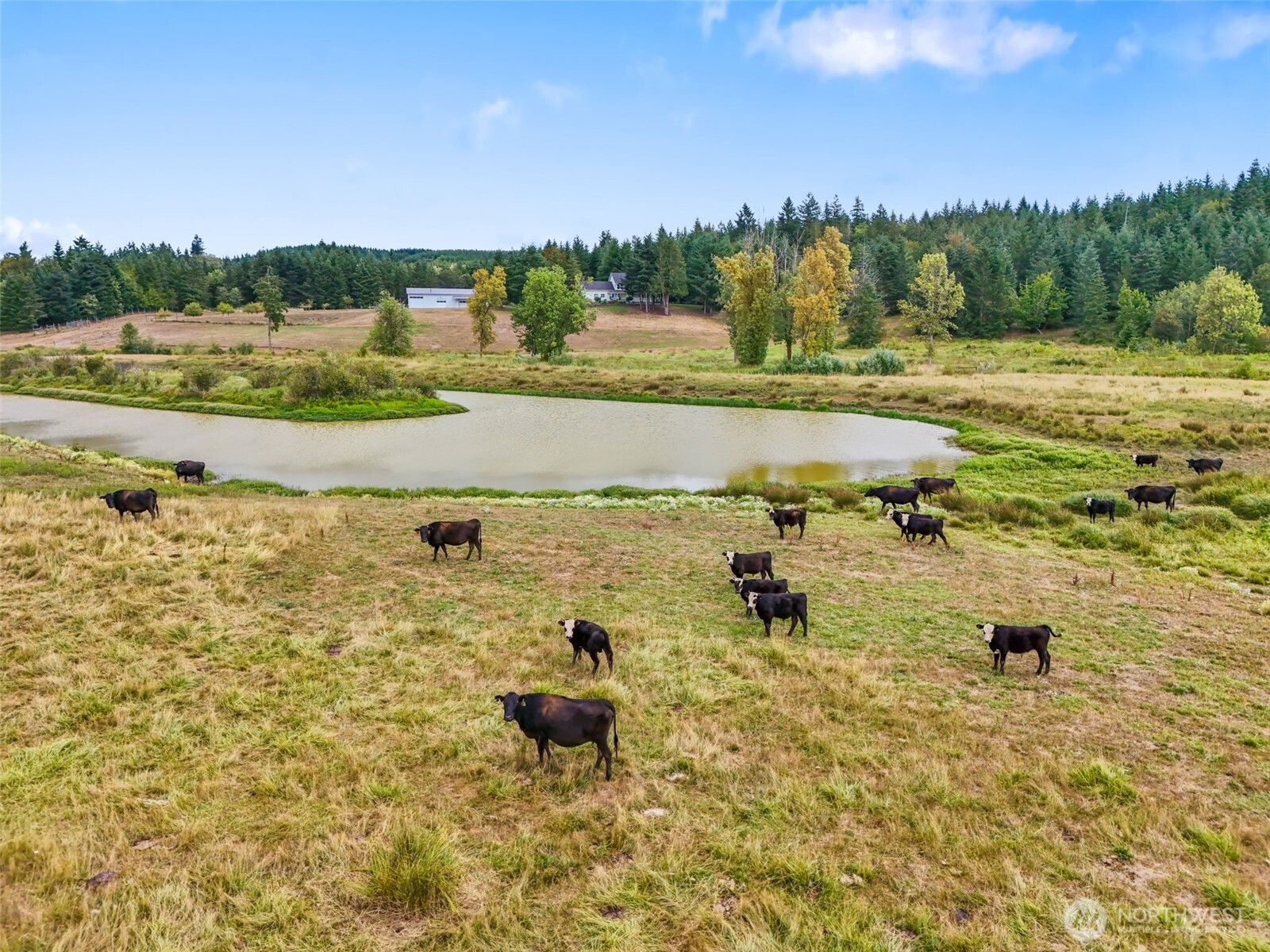 437 Ingalls Road Rochester, WA 98579 - Photo 6 of 40