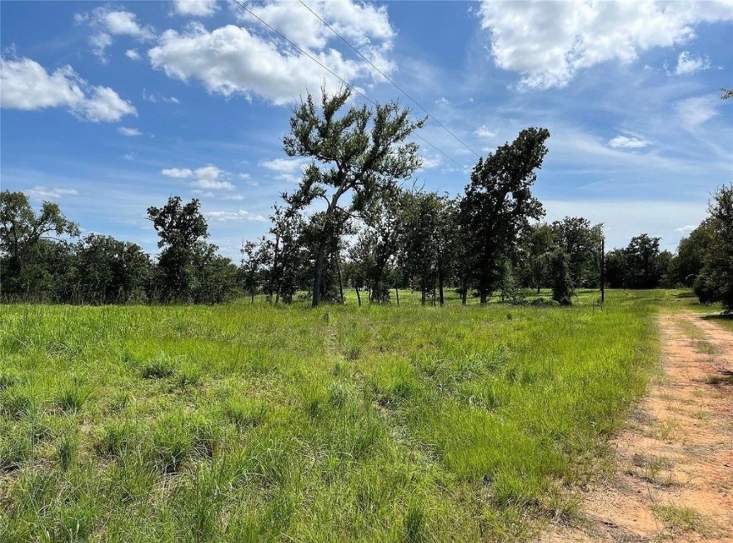Tbd Hickory Loop Thornton, TX 76687 - Photo 2 of 7 a view of a garden