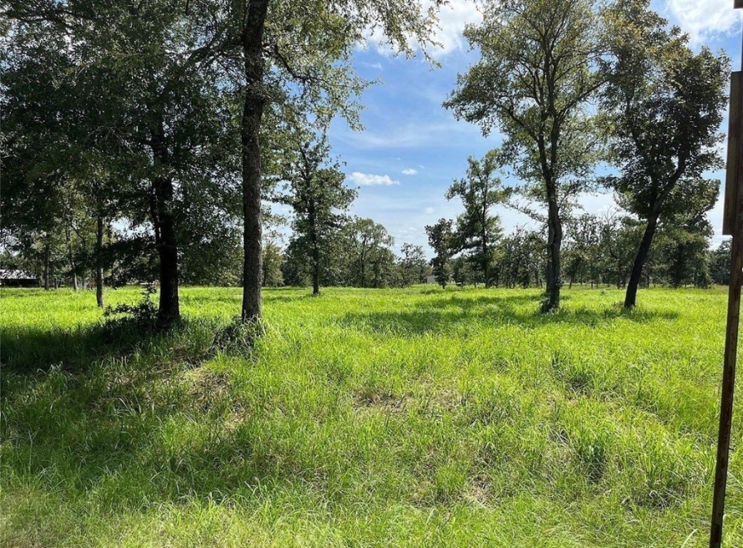 Tbd Hickory Loop Thornton, TX 76687 - Photo 6 of 7 a view of green field with trees in the background
