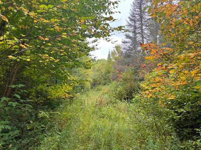 $119,900 | Xxx Xxx Stony River, Isabella, MN 55607