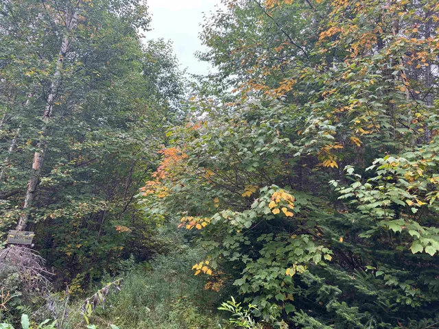 $110,000 | Xxx Xxx Stony River, Isabella, MN 55607