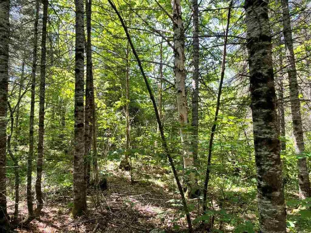 $110,000 | Xxx Xxx Stony River, Isabella, MN 55607