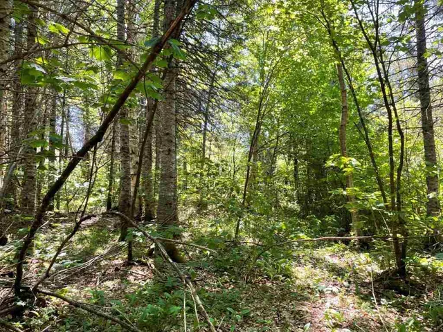 $110,000 | Xxx Xxx Stony River, Isabella, MN 55607