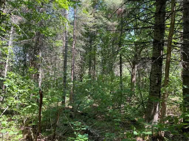 $110,000 | Xxx Xxx Stony River, Isabella, MN 55607