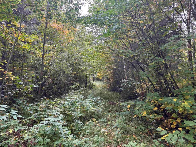 $110,000 | Xxx Xxx Stony River, Isabella, MN 55607