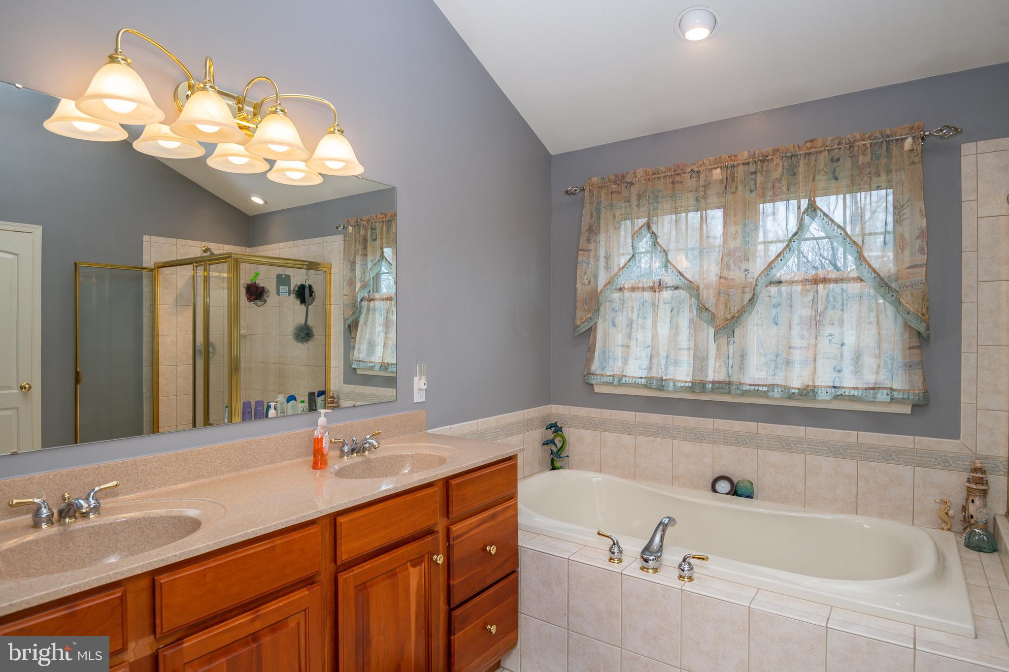 160 Shearers Road Sinking Spring, PA 19608 - Photo 24 of 40 Master bath