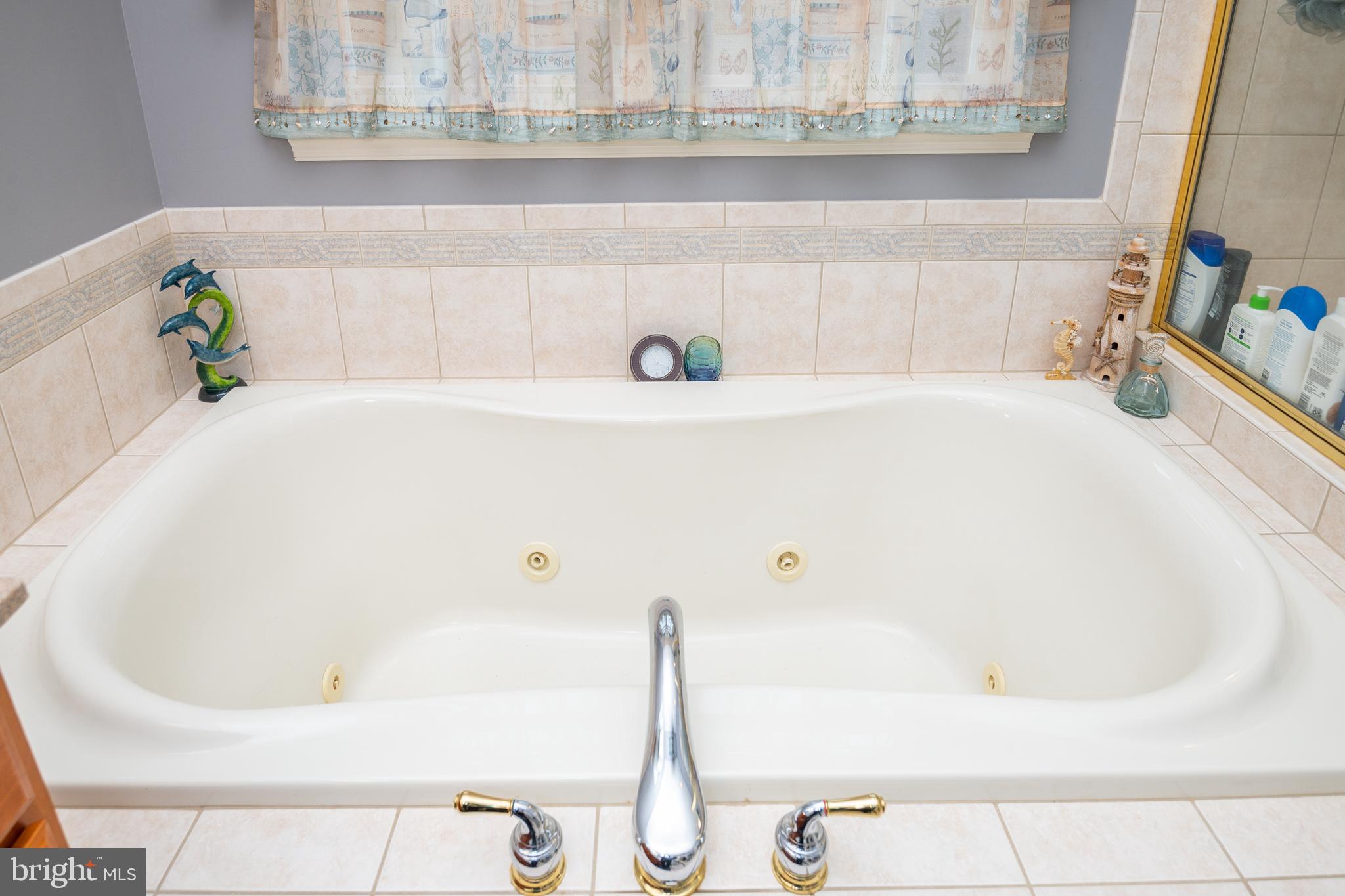 160 Shearers Road Sinking Spring, PA 19608 - Photo 26 of 40 Master bath