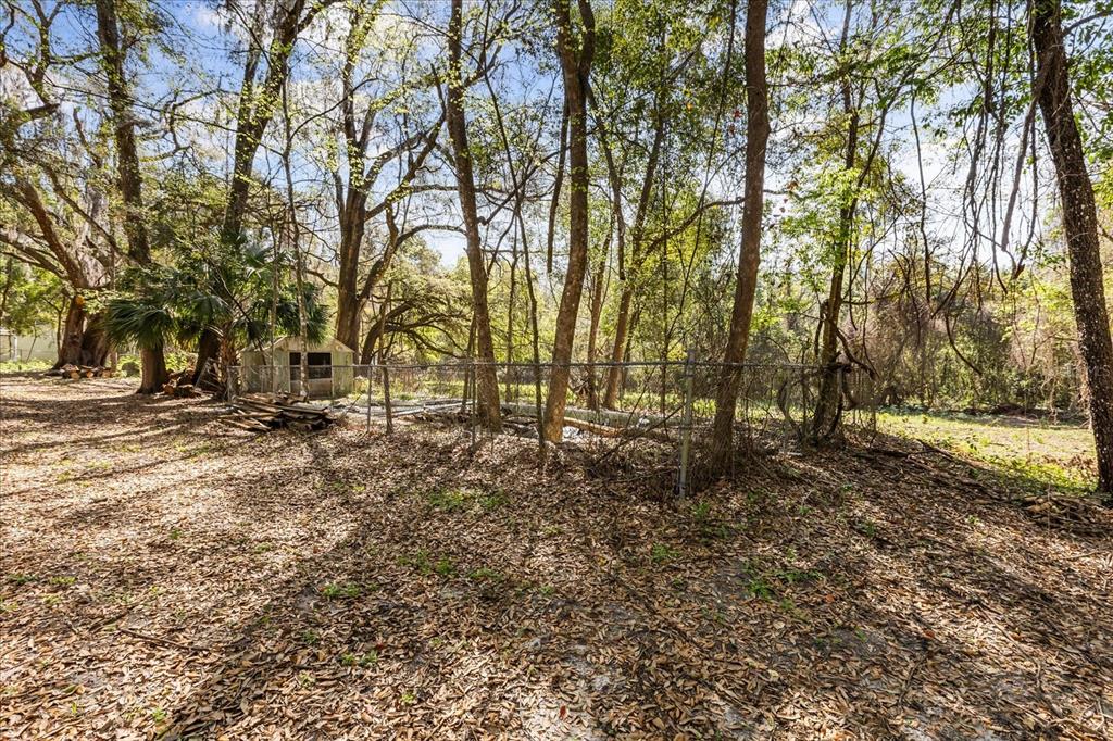 421 Southwest 137th Avenue Ocala, FL 34481 - Photo 43 of 48