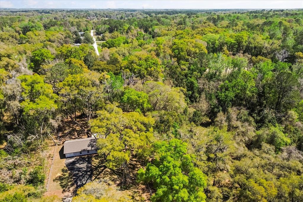 421 Southwest 137th Avenue Ocala, FL 34481 - Photo 45 of 48