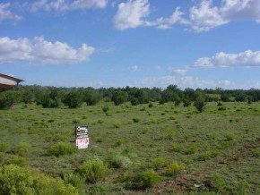 124 White Gates Road Seligman, AZ 86337 - Photo 1 of 6 Primary Photo