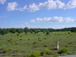 124 White Gates Road Seligman, AZ 86337 - Photo 2 of 6 Additional Photo