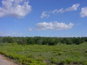 124 White Gates Road Seligman, AZ 86337 - Photo 3 of 6 Additional Photo