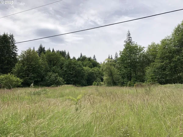 $899,000 | Cougar Street, Vernonia, OR 97064