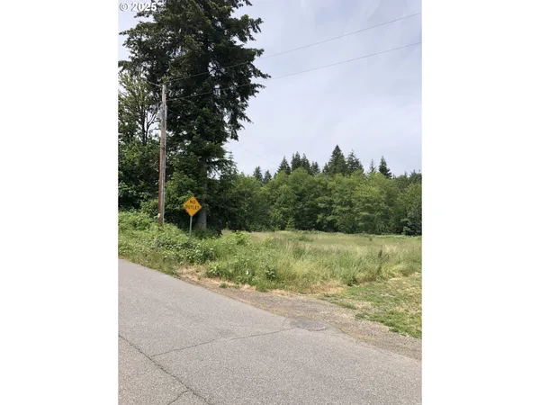 $899,000 | Cougar Street, Vernonia, OR 97064
