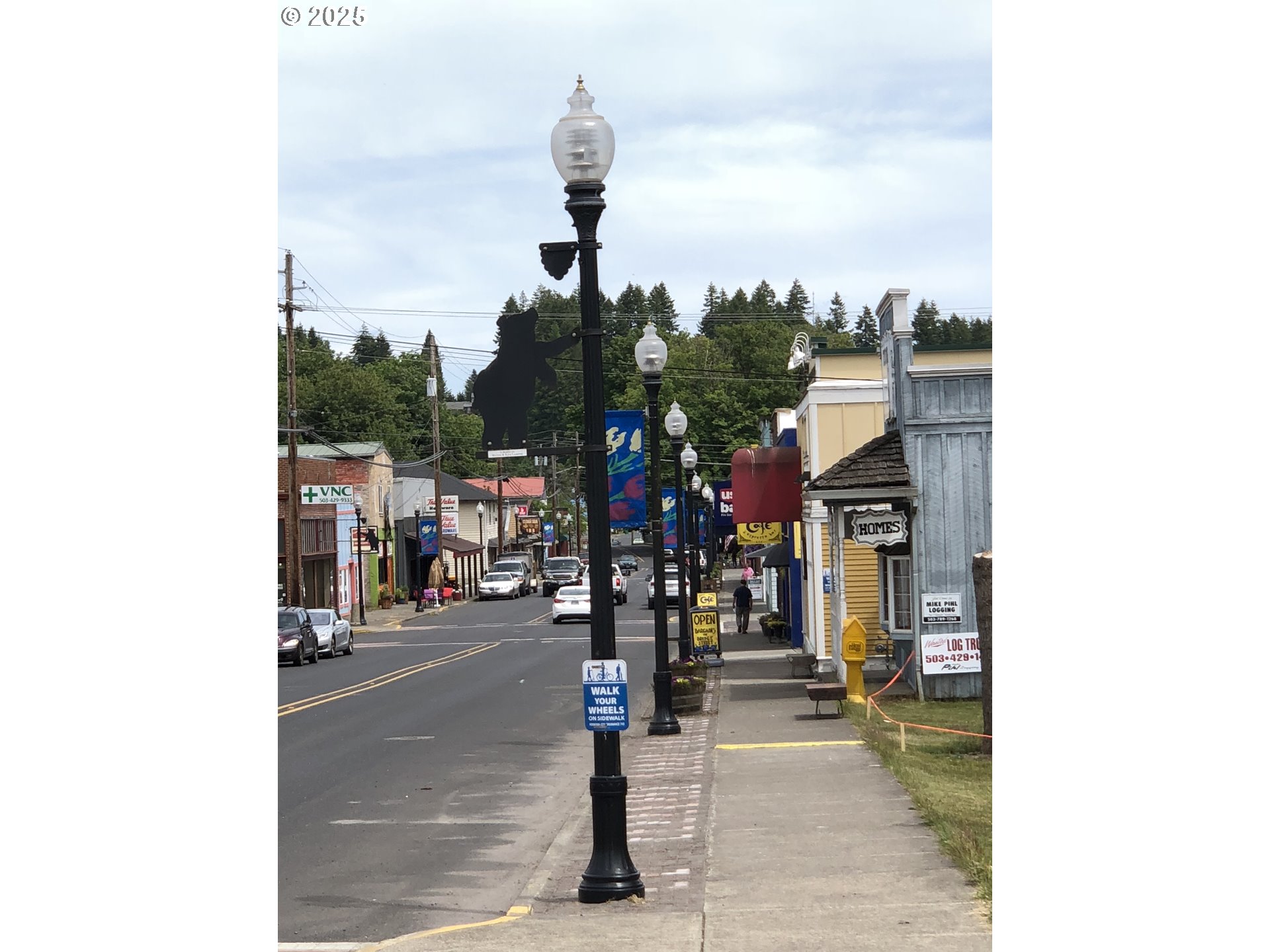 Cougar Street Vernonia, OR 97064 - Photo 6 of 10 a view of city