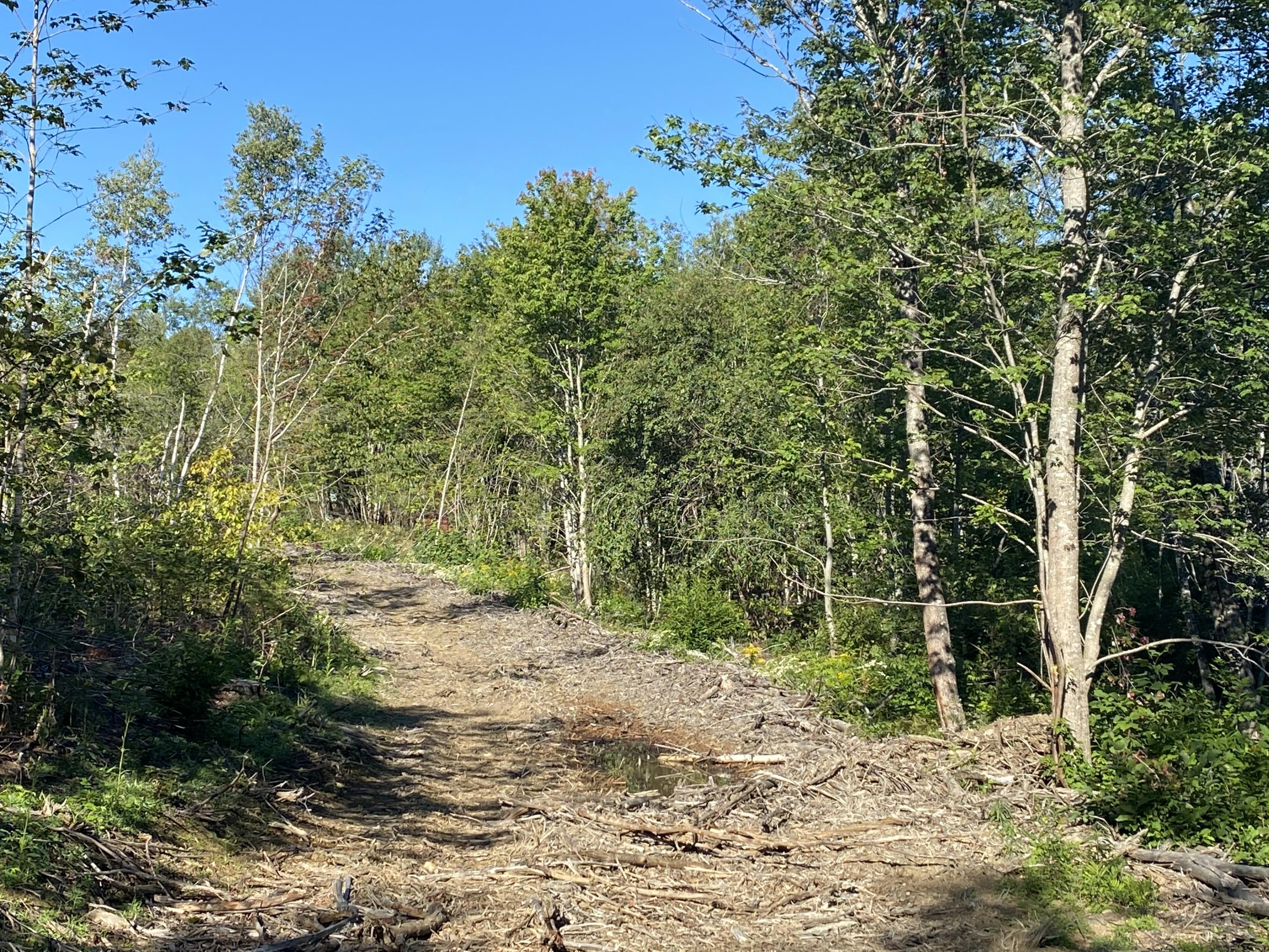 Lot 1 Philpot Ridge Road Milo, ME 04463 - Photo 4 of 10 IMG_1531
