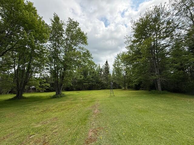 2077 South Princeton Road Baileyville, ME 04694 - Photo 100 of 104 IMG_9743