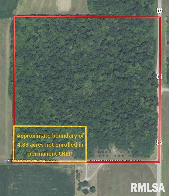 Morgan Cass County Line Road Arenzville, IL 62611 - Photo 11 of 16