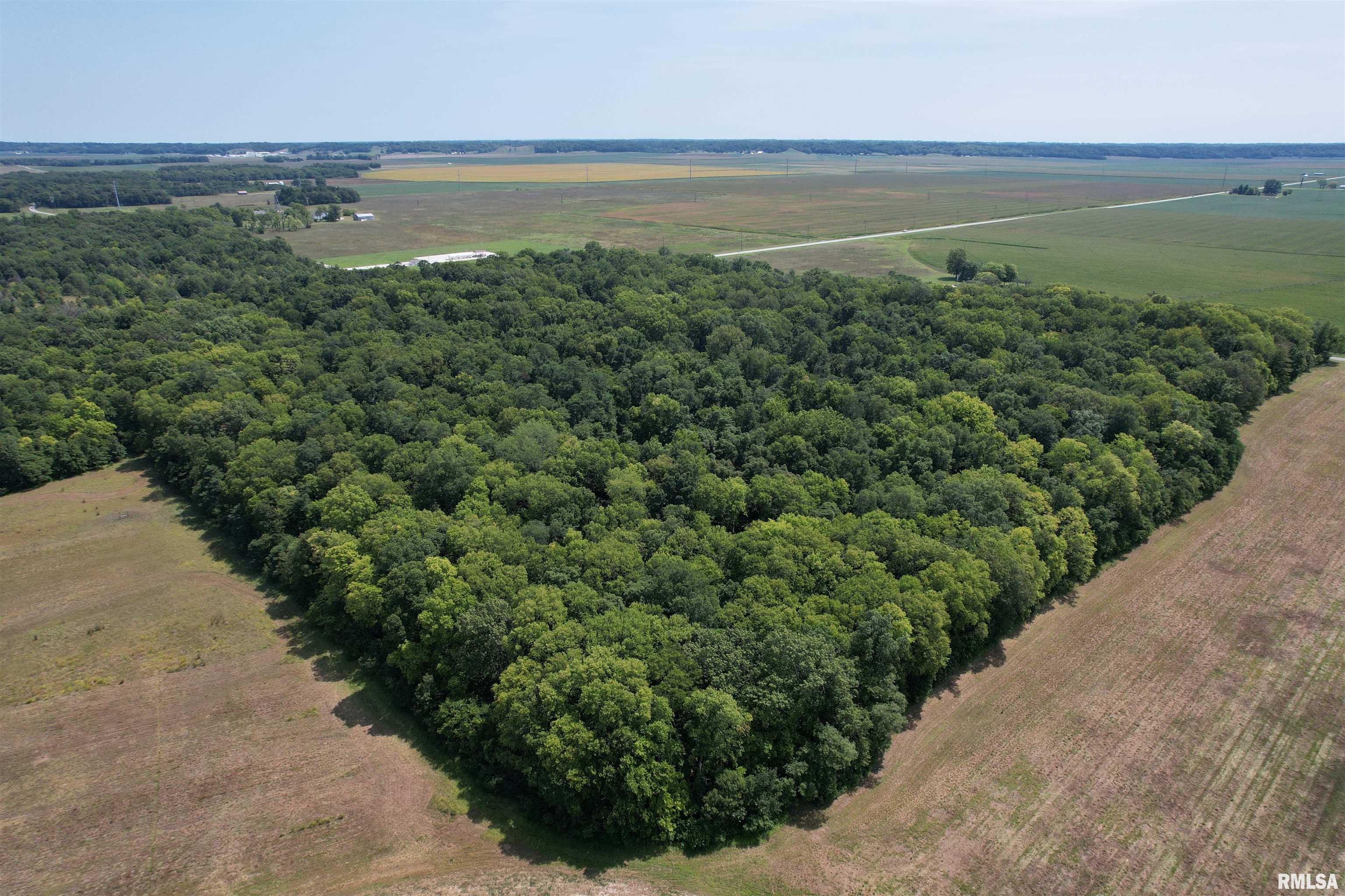 Morgan Cass County Line Road Arenzville, IL 62611 - Photo 2 of 16