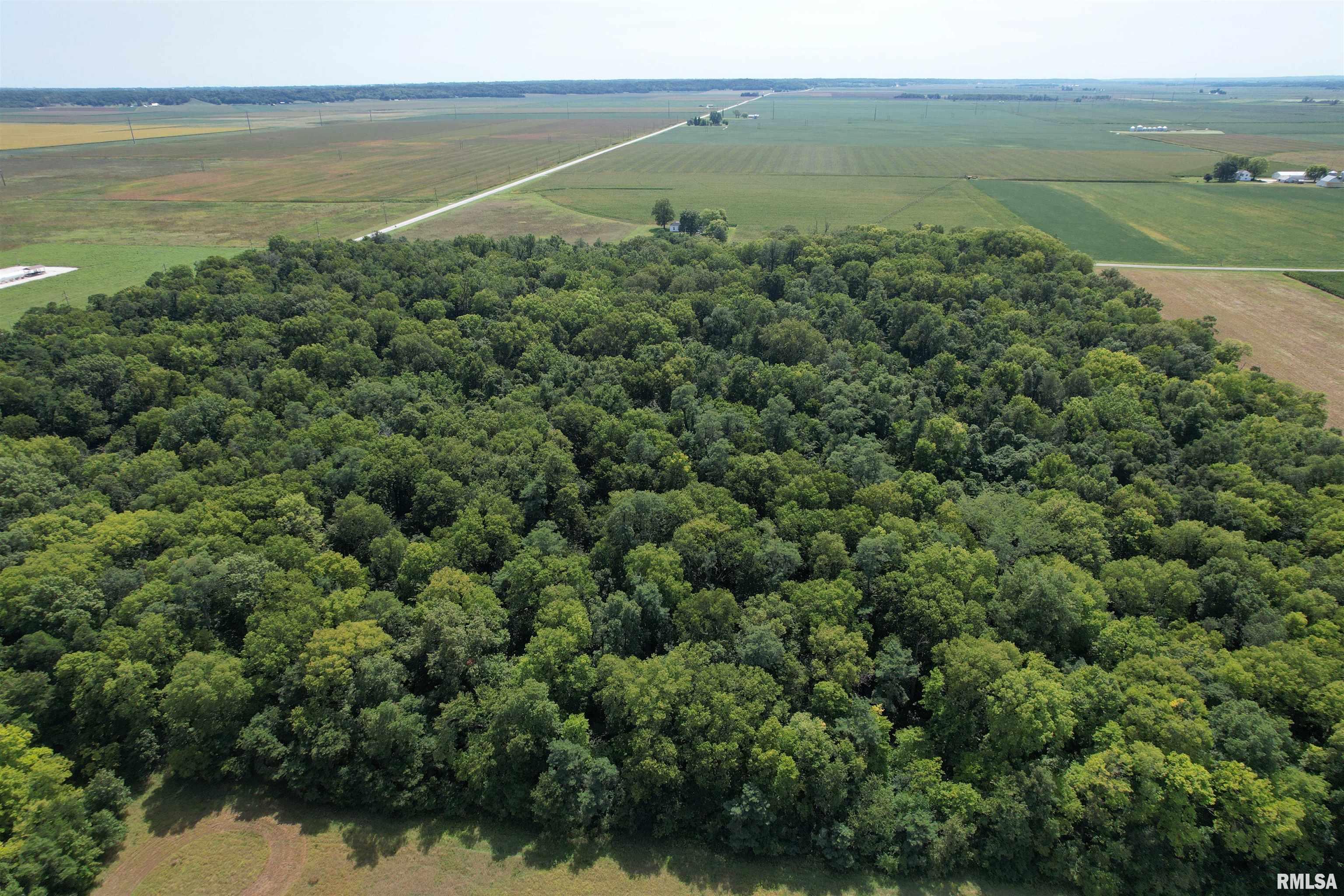Morgan Cass County Line Road Arenzville, IL 62611 - Photo 3 of 16