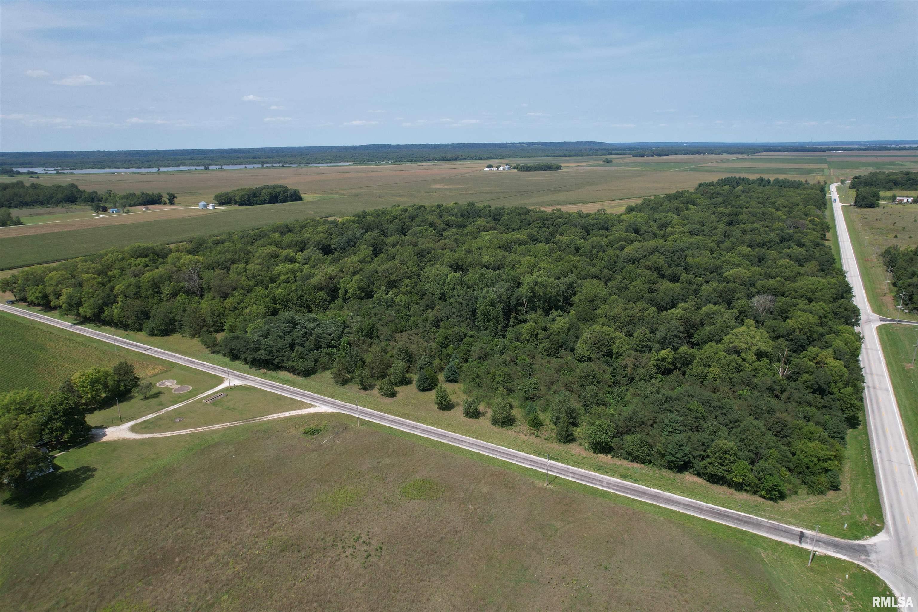 Morgan Cass County Line Road Arenzville, IL 62611 - Photo 4 of 16