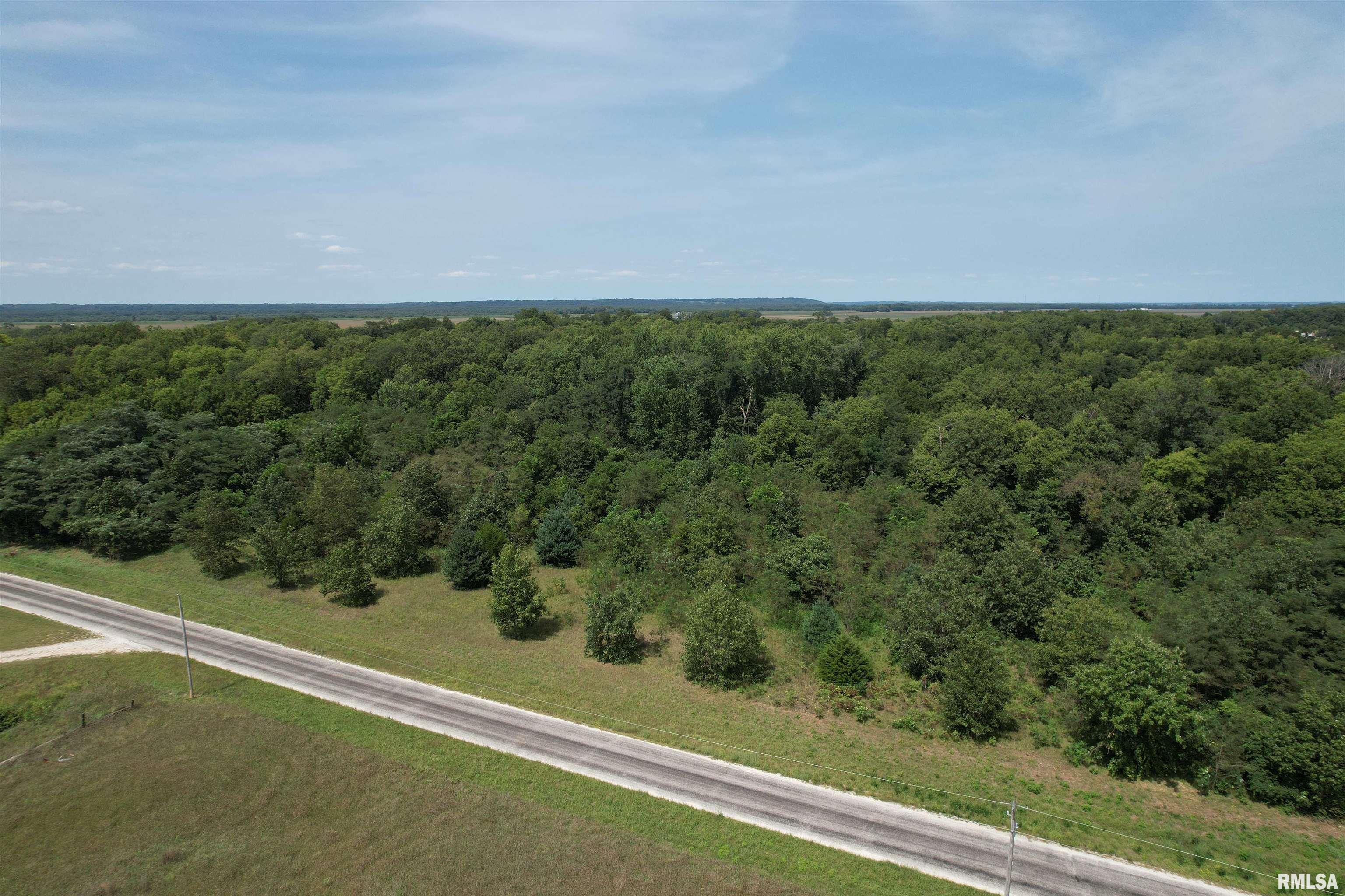 Morgan Cass County Line Road Arenzville, IL 62611 - Photo 5 of 16