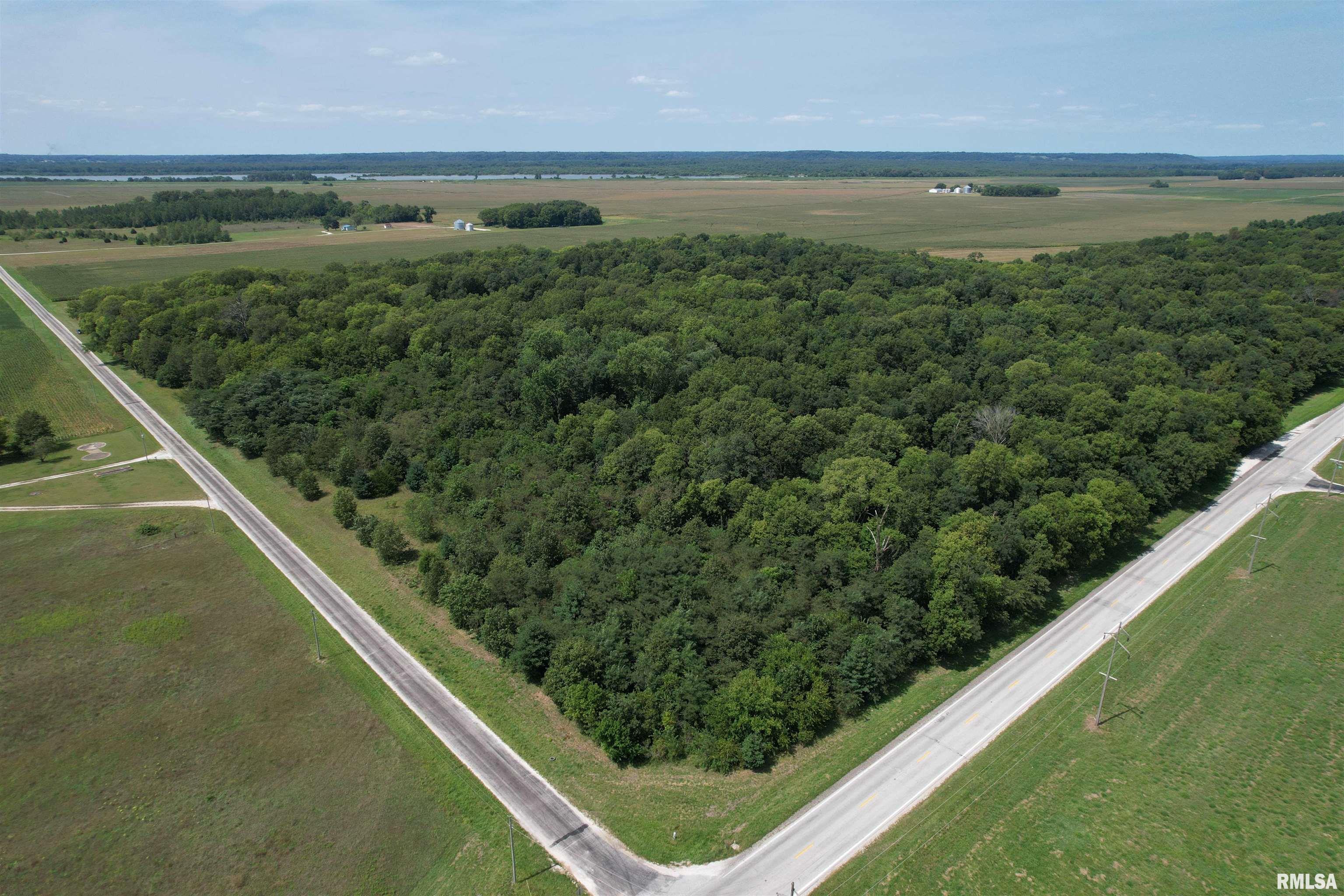Morgan Cass County Line Road Arenzville, IL 62611 - Photo 6 of 16