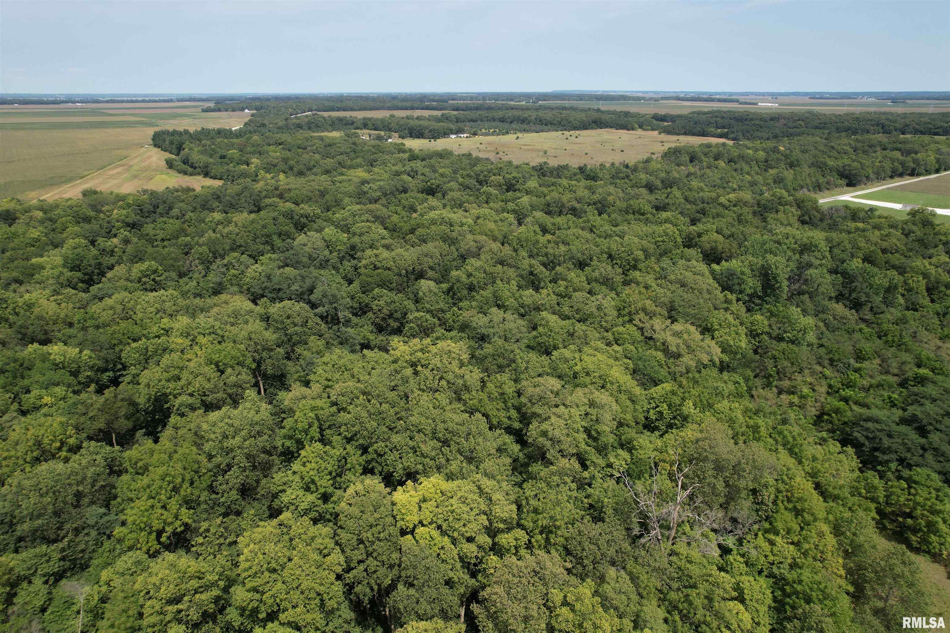 Morgan Cass County Line Road Arenzville, IL 62611 - Photo 7 of 16