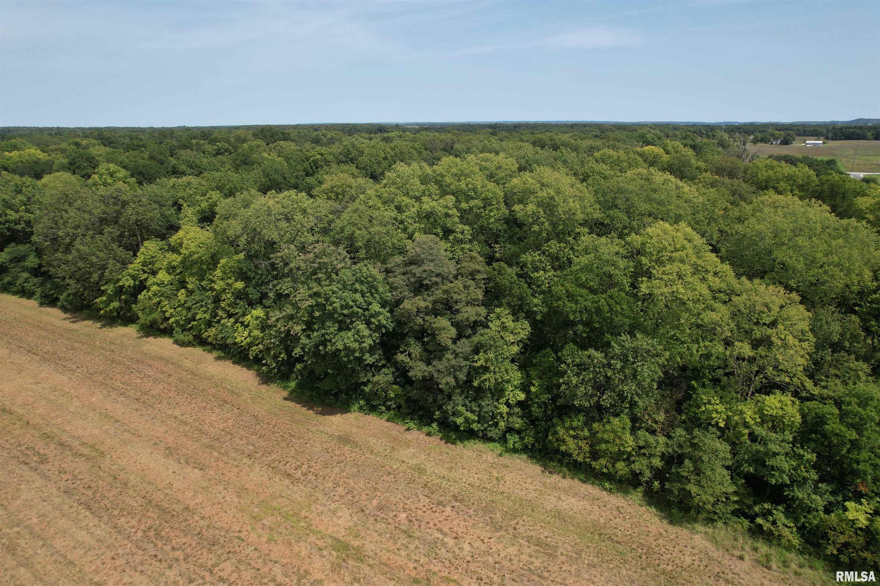 Morgan Cass County Line Road Arenzville, IL 62611 - Photo 9 of 16