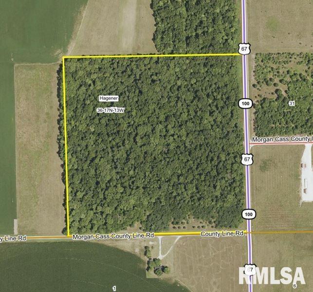 Morgan Cass County Line Road Arenzville, IL 62611 - Photo 10 of 16