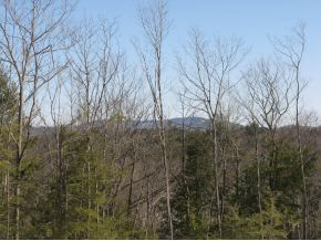 Lot#1 South Road Newbury, NH 03255 - Photo 1 of 11