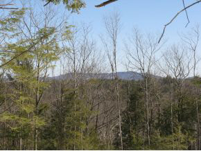 Lot#1 South Road Newbury, NH 03255 - Photo 2 of 11