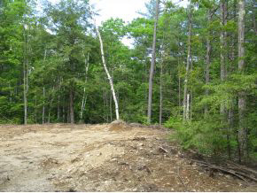 Lot#1 South Road Newbury, NH 03255 - Photo 3 of 11